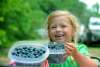 Cedar Grove Blueberry Farm.jpg