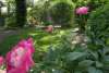 Hillsborough Spring Garden Tour.jpg