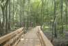 Ravenel Caw Caw Interpretive Center