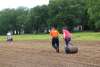 Rolling soil to flatten after seed planting