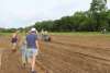 Volunteers and park staff plant seeds.