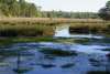 Ravenel Caw Caw Interpretive Center