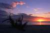 Sunset over calm water with gnarled tree in foreground at Stump Pass Beach State Park