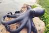 Zimsculpt Octopus Sculpture at Peace River Botanical & Sculpture Gardens