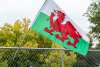 A flag at the Celtic Festival