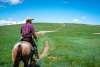 a cowboy riding a horse on the open plains