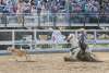 A cowgirl competes in the breakaway roping competiting