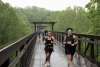 runners racing across a greenway bridge in the rain