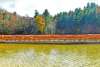 Fall Furnace Festival at Pine Grove Furnace State Park