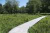 Boardwalk3
