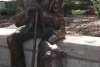 Statue and Dog