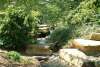 cox_arboretum_2