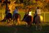 horseback_riders