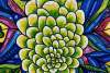 Laura Erickson art