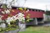 Wehrs Bridge Spring 01 Discover Lehigh Valley