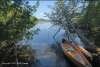 Canoe with Cedars