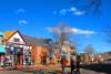 Downtown Estes Park Shoppers