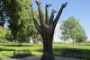 Sterling Sculpture
