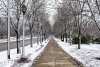 Headwaters Park in Winter