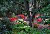 Foster Park Gardens