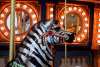 Zebra at the Fort Wayne Children's Zoo Carousel