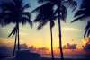 Instagram photo liked on 07/03/15
