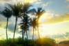 Twitter photo posted on 01/15/13