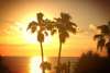 Twitter photo posted on 02/05/13