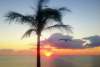 Twitter photo posted on 02/06/13