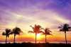 Twitter photo posted on 03/15/13