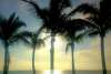 Twitter photo posted on 04/03/13