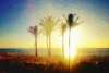 Twitter photo posted on 04/08/13