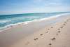 Footprints in the sand