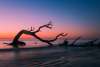 Driftwood Beach at Sunrise