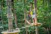 Two people navigate treetops at Treetop Quest Gwinnett, surrounded by green foliage and wooden platforms.