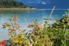Haines in late summer/early fall