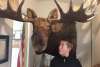 Bull Moose at Bald Eagle Foundation
