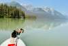 Louie looking for spawning salmon in Chilkoot Lake