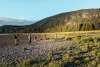 golden hour hiking at chilkat state park