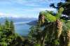 view from Mt Ripinski