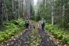 Children walking a trial with moms, fall leaves