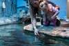 Catawba Science Center - Sting Ray - Kids