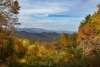 Fall Colors
