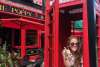 Poppy and Parliament Phone Booth