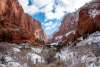 Snow in Kolob Canyons, North Zion National Park