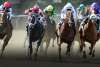 South Shore  Attractions  Belmont Stakes  Bel16_Hero1_1556x800_2.jpg