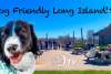 Dog Friendly Long Island!