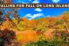 Falling for Fall on Long Island