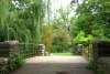 Washington Park - Lagoon