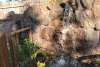 Crystal Cave & Falls Adventure Mini Golf (From Dixie)